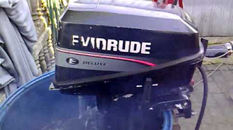 Evinrude/Johnson/OMC 4 HP 1995 Model 4BREO, 4BRLEO, 4RDHEO, 4RDHLEO, 4REO, 4RLEO